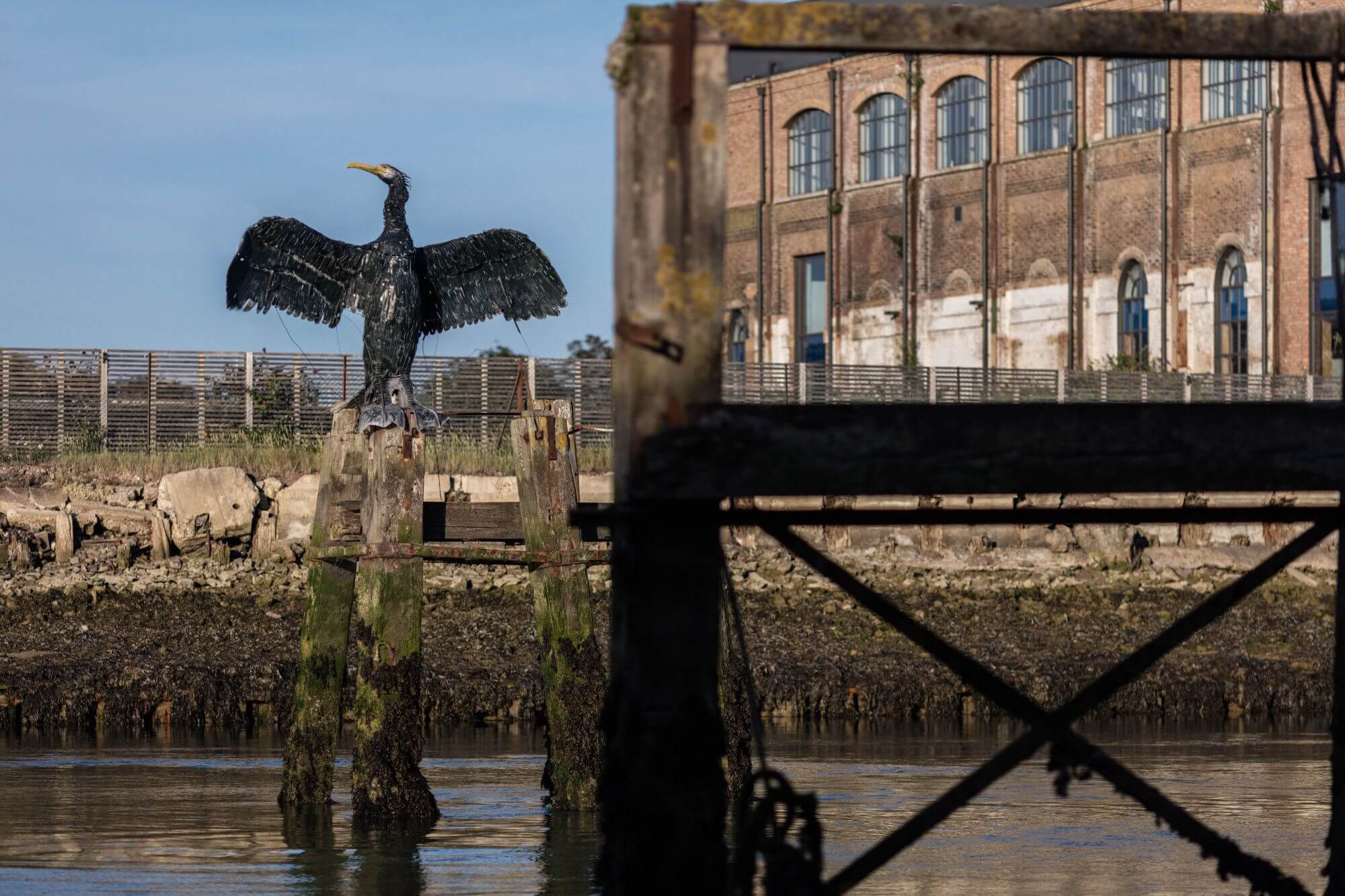 A picture of a Cormorant statue standing on a wooden post in the Ouse Estuary, in front of a warehouse building in Newhaven