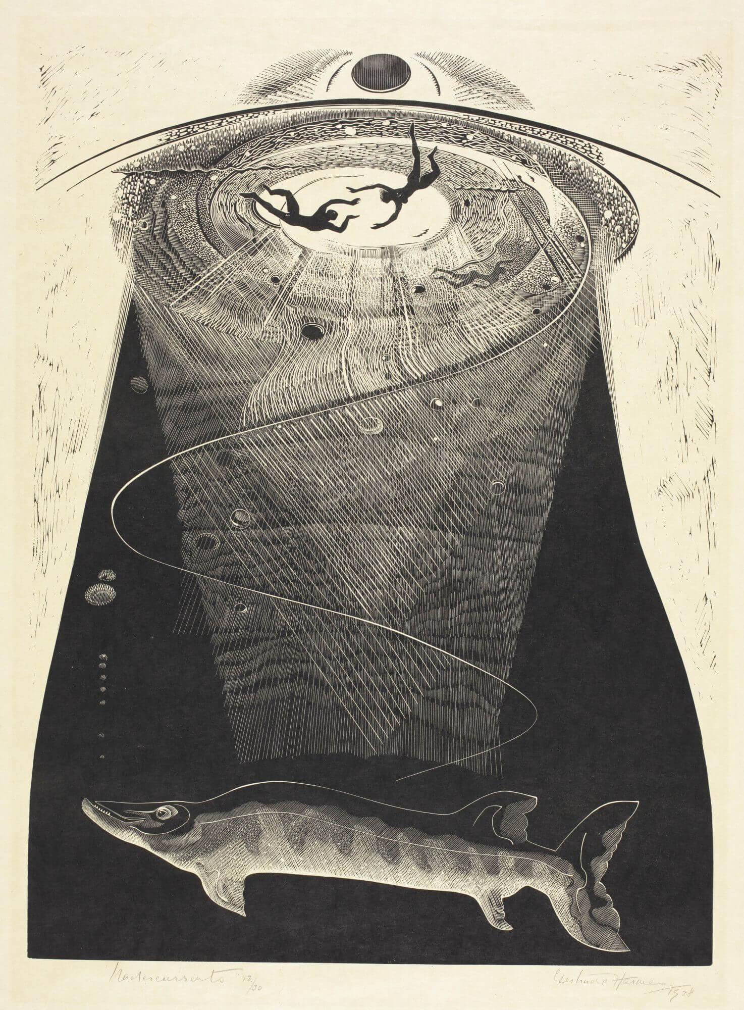 Gertrude Hermes, 'Undercurrents', 1938. © Gertrude Hermes Estate. Towner Eastbourne.